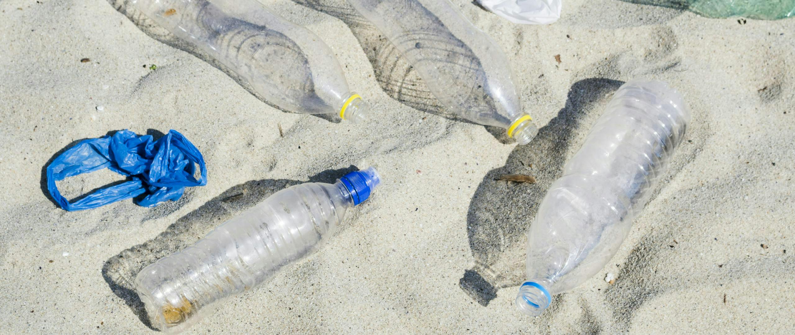 Plastic Water Bottle Waste | Environmental Impact 