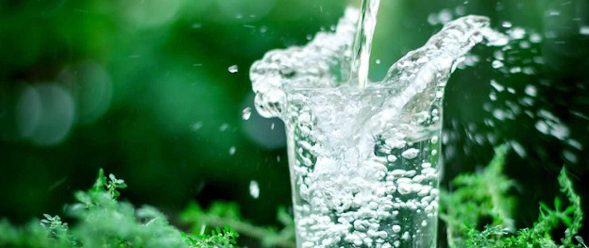 Drink Water the Eco-Friendly Way: How to Drink Water Without Wrecking the Environment